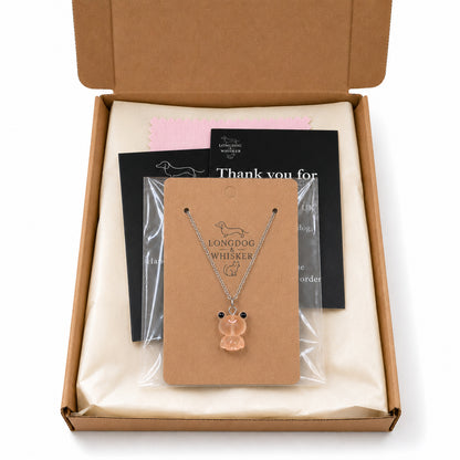 Frosted Frog in Apricot Necklace in Longdog & Whisker gift packaging box