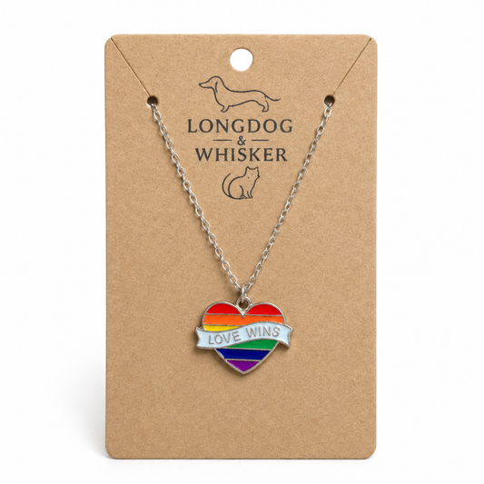 Pride Rainbow Love Wins Banner Heart Necklace Silver Chain by Longdog & Whisker