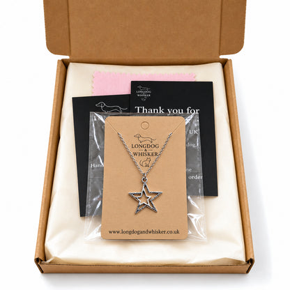 Silver double star necklace in Longdog & Whisker postal packaging.
