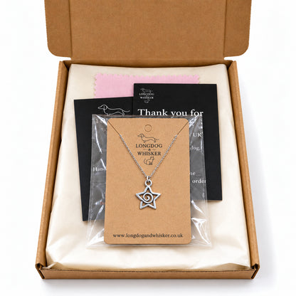 Silver-tone spiral star chain necklace in Longdog & Whisker kraft packaging