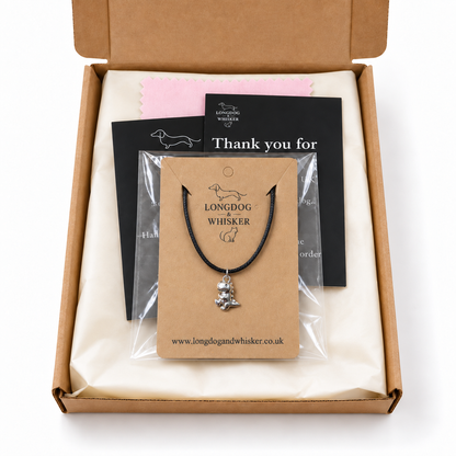 Silver T-Rex Dinosaur Necklace in Longdog & Whisker gift packaging